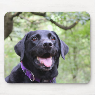 Glückliches schwarzes Labrador Mousepad