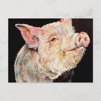 Glückliches Schwein. Postkarte