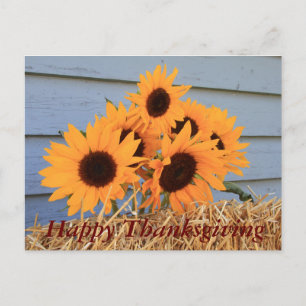 Glückliches Thanksgiving auf der Postkarte - Sonne