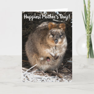 Glücklichster Alles Gute zum Muttertag Quokka Aust Karte
