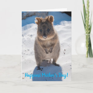 Glücklichster Alles Gute zum Muttertag Süße Quokka Karte