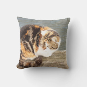 Glückskatze, mehrspurig auf einem Brett am Wasser Kissen