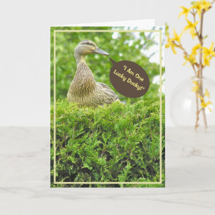 GLÜCKSKIND/HAB DICH ALS VATER ERWISCHT/ENTE AUF HE KARTE