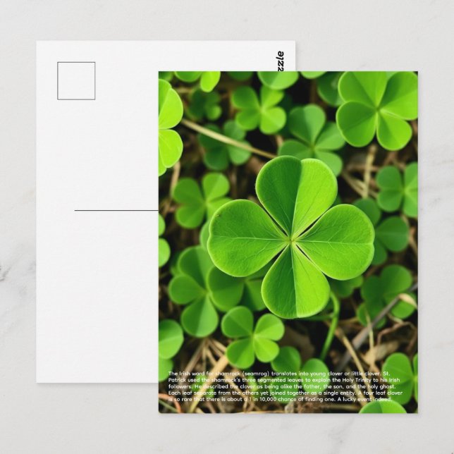Glücksklee Postkarte (Vorne/Hinten)