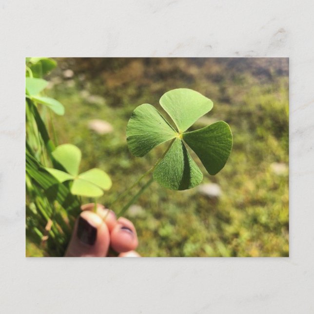 Glückstag Postkarte (Vorderseite)