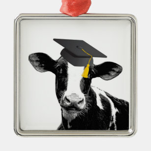 Glückwunsch-Abschluss-lustige Kuh in der Kappe Silbernes Ornament