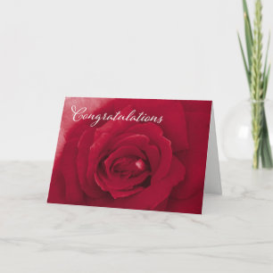 Glückwunsch - Allgemeines - Rote Rose Feiertagskarte