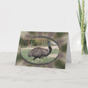 Glückwunsch anpassen karte