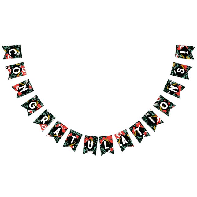 Glückwunsch der Graduierungspartei Wimpelkette (Alle)