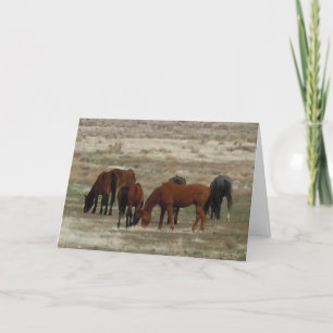 Glückwunsch des neuen Vet-Abschlusses - DVM-Ranch  Karte