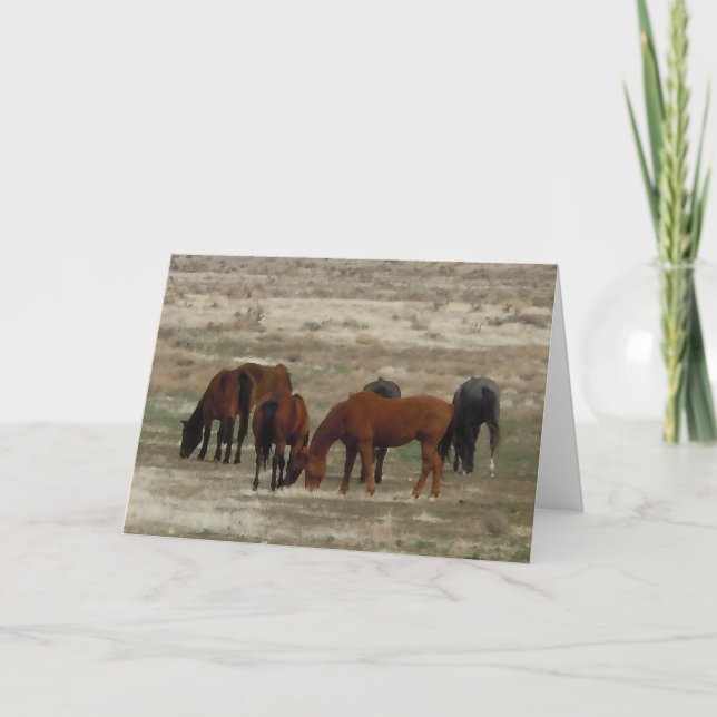 Glückwunsch des neuen Vet-Abschlusses - DVM-Ranch  Karte (Vorderseite)