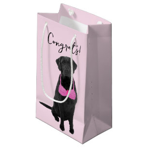 Glückwunsch, die zur Brustkrebserkrankung beitrage Kleine Geschenktüte