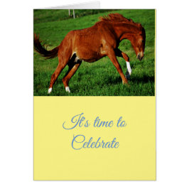 Glückwunsch Feierlichkeiten Gruß