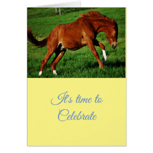 Glückwunsch Feierlichkeiten Gruß