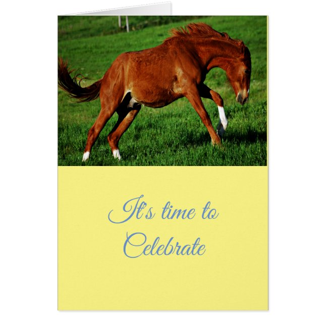 Glückwunsch Feierlichkeiten Gruß (Vorne)