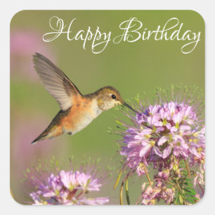 Glückwunsch zum Geburtstag Hummingbird und Wildbl Quadratischer Aufkleber