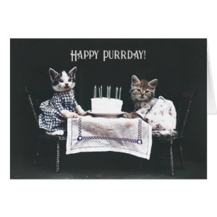 Glückwunsch zum Geburtstag Katzen Vintage gefaltet