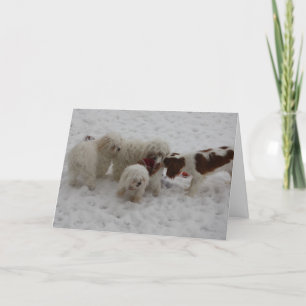 Glückwünsche auf dem neuen Job Karte