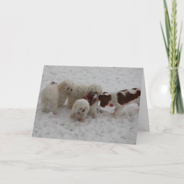 Glückwünsche auf dem neuen Job Karte (Vorderseite)