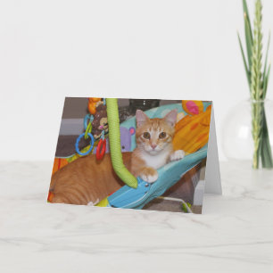 Glückwünsche auf Ihrem neuen Zusatz Karte