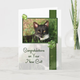 Glückwünsche auf Ihrer neuen Katze Karte