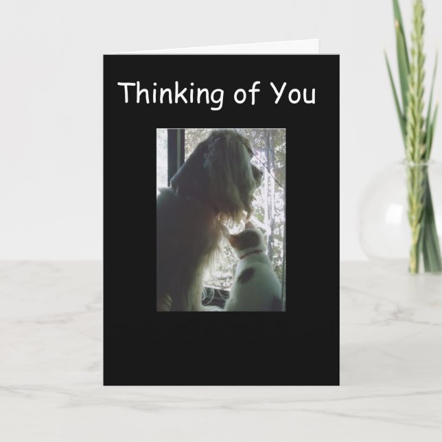 GLÜCKWÜNSCHE, DIE SIE JETZT SIND **ZEHNTE** 13. GE KARTE (Vorderseite)