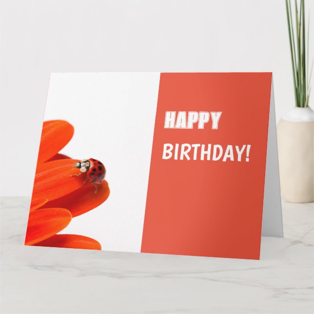 Glückwunschkarte Marienkäfer auf oranger Blüte Karte (Vorderseite)