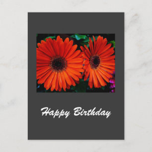 Glückwunschkarte orangefarbene Gänseblümchen zum G Postkarte