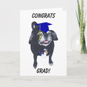 Glückwunschs Grad Mops Blue Cap und Tassel Cards Karte