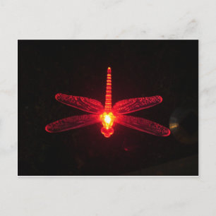 Glühende Dragonfly Postkarte