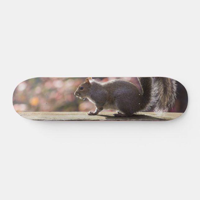 Glühende Eichhörnchen-Skateboard Skateboard (Horizontal)