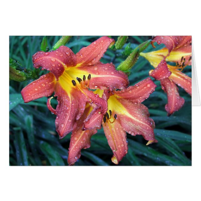 Glühende Fackel (Vorderseite (Horizontal))