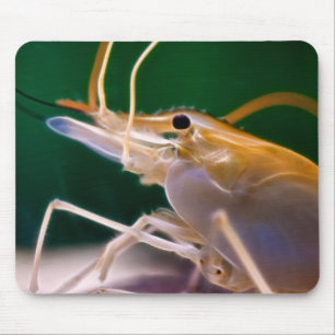 Glühende Garnele - Mousepad