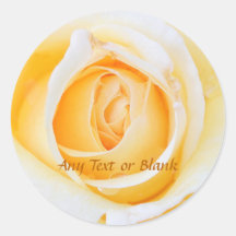 Glühende Goddess Yellow Rose