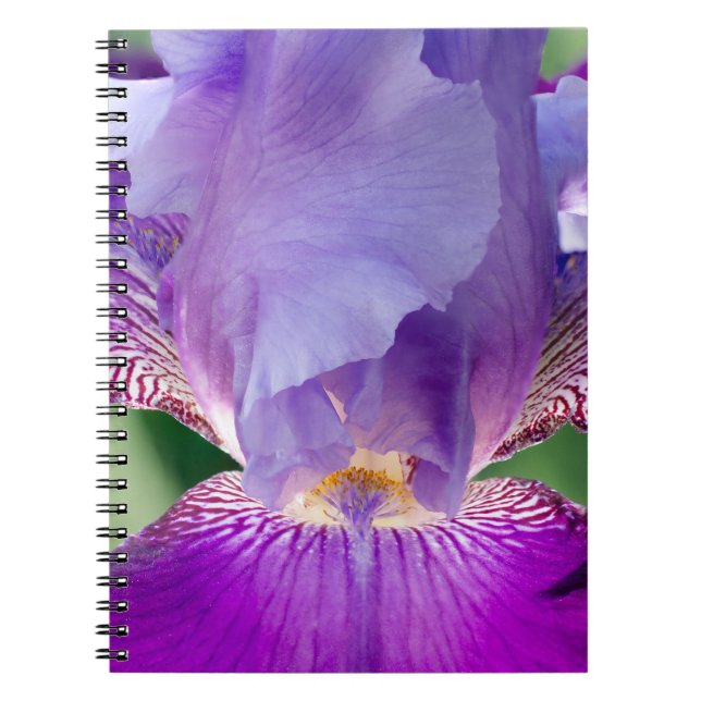 Glühende Irisnatur / blumengeschmücktes / botanisc Notizblock (Vorderseite)