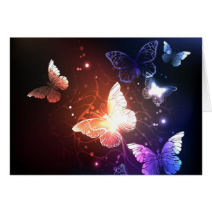 Glühende Nachtschmetterlinge