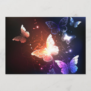 Glühende Nachtschmetterlinge Programm