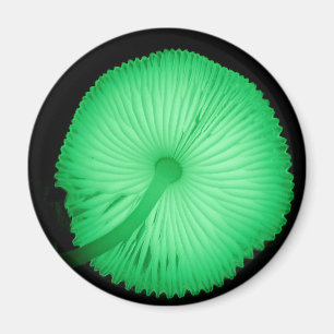 Glühende Pilze Magnet
