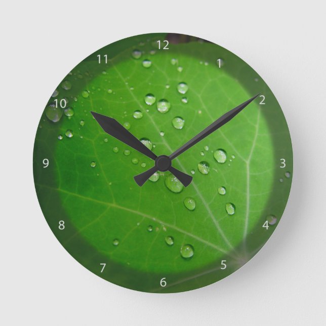 Glühende Raindropfen auf Nasturtiumblättern Runde Wanduhr (Vorderseite)