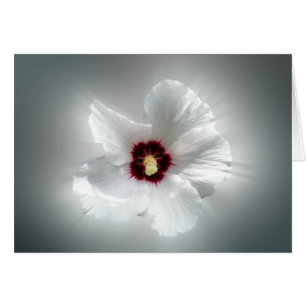 glühende weiße Blätter