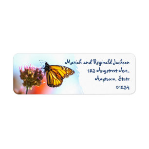 Glühender Monarch-Schmetterling auf lila Blume