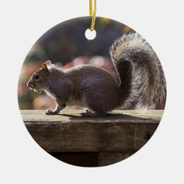 Glühendes Eichhörnchen Keramikornament (Vorne)