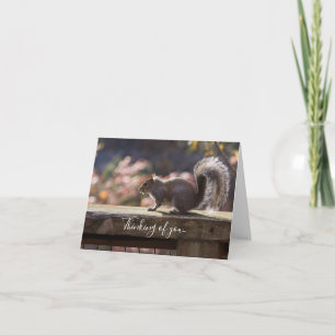 Glühendes Eichhörnchendenken auf Ihrer Karte