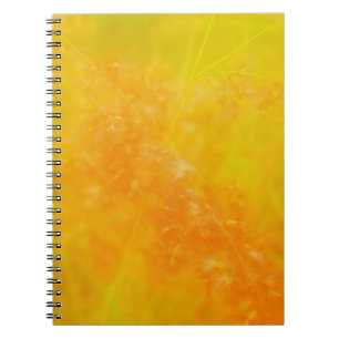 Glühendes Orange-Notebook Notizblock