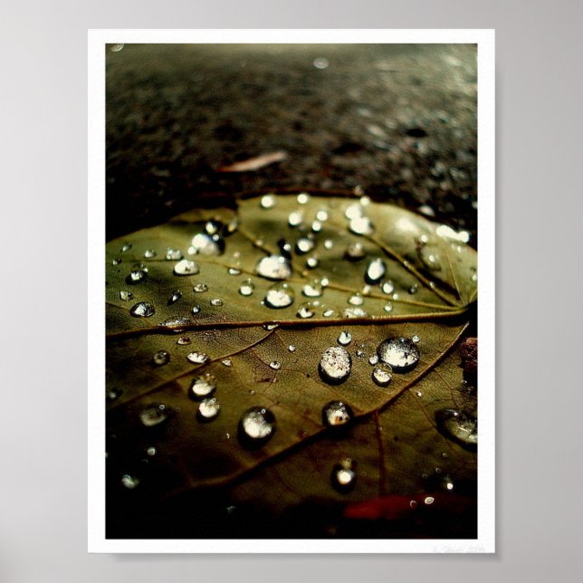 Glühfallen Poster (Vorne)