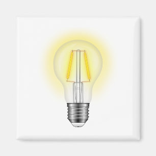 Glühlampe Magnet
