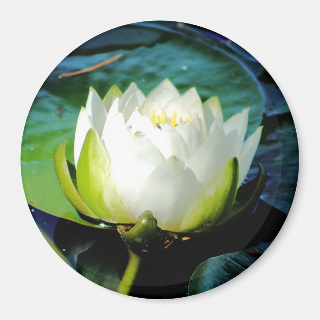 Glühweißer Lotus Magnet (Vorne)