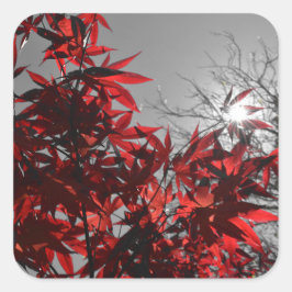 Glut der Herbstes Quadratischer Aufkleber