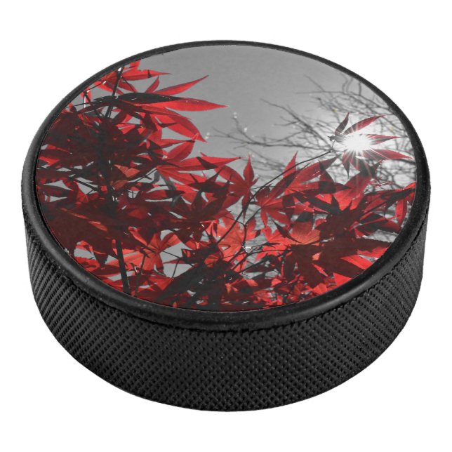 Glut des Herbstes Eishockey Puck (3/4)
