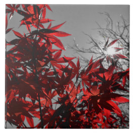 Glut des Herbstes Fliese